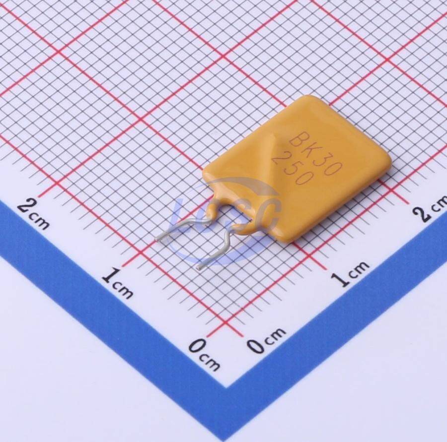 Brightking BK30-250-SI-P5.1C3Z1 - 1