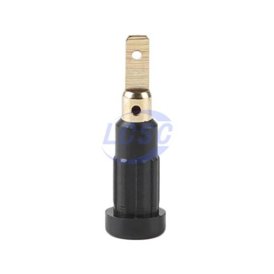 Changzhou Amass Elec 24.110.2