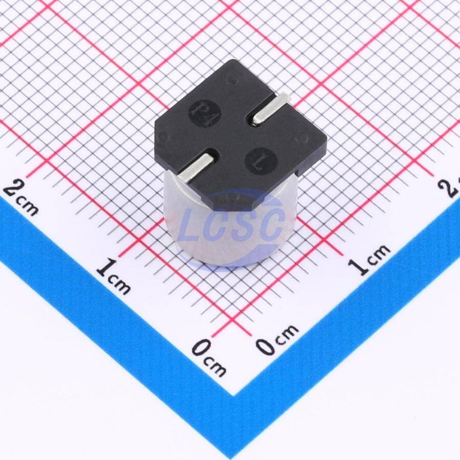 Chengx RVT1C102M1010VG - 2