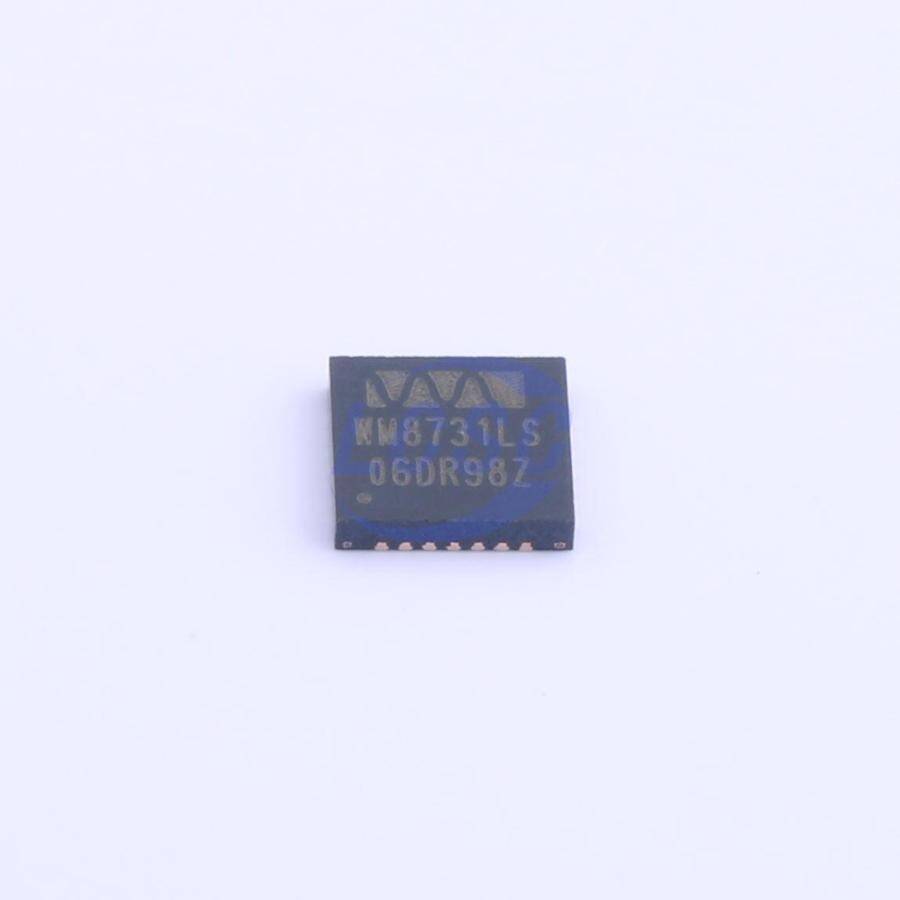 Cirrus Logic WM8731CLSEFL/R - 3