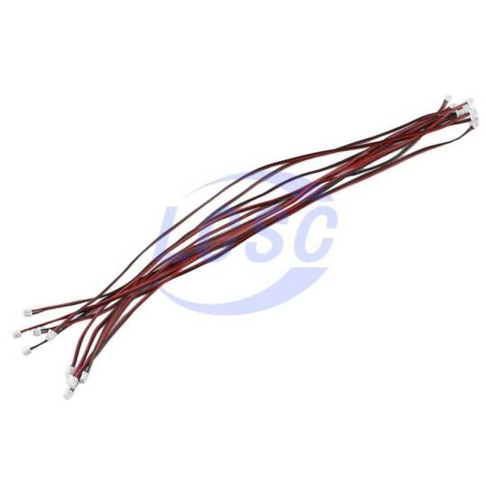 Ckmtw S191020003 - 3