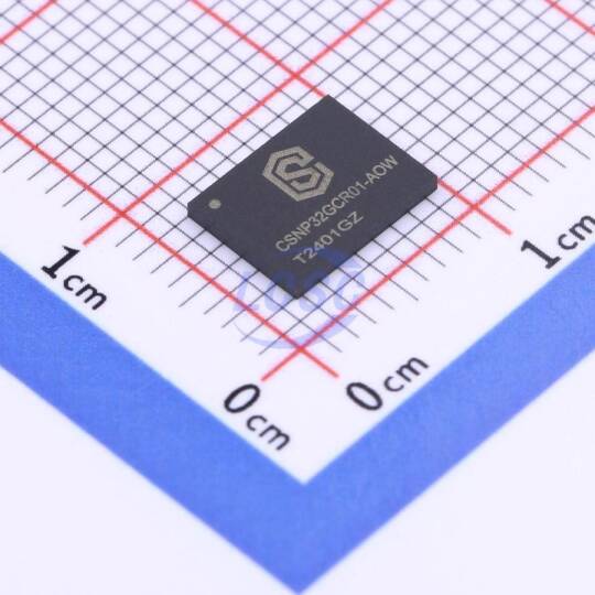 CS Semiconductor CSNP32GCR01-AOW