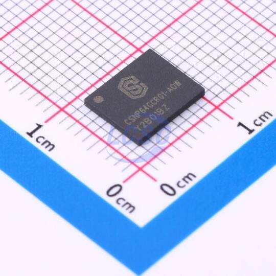 CS Semiconductor CSNP64GCR01-AOW