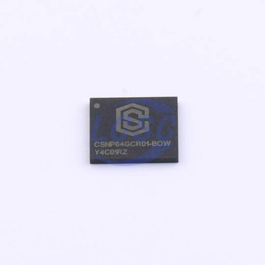 CS Semiconductor CSNP64GCR01-BOW - 3
