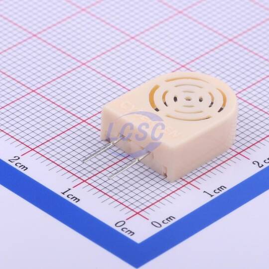 CYBERSEN CHR01-2025-W