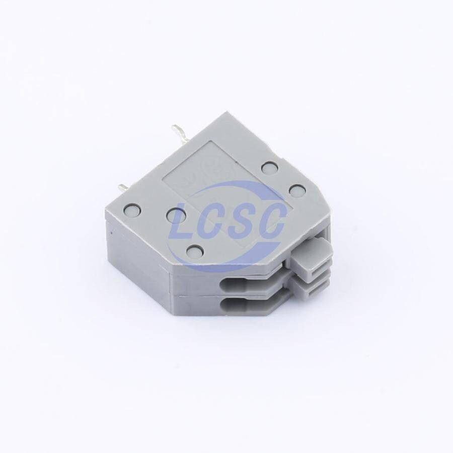 DEGSON DG250-2.5-02P-11-00AH - 3
