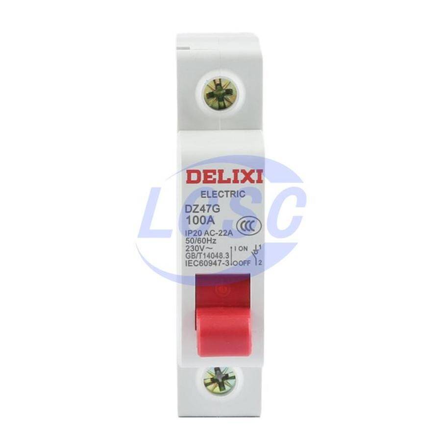 Delixi Electric DZ47G 1P 100A - 1