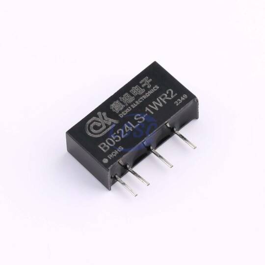 DEXU Electronics B0524LS-1WR2 - 3