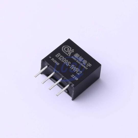 DEXU Electronics B1209S-1WR2 - 3