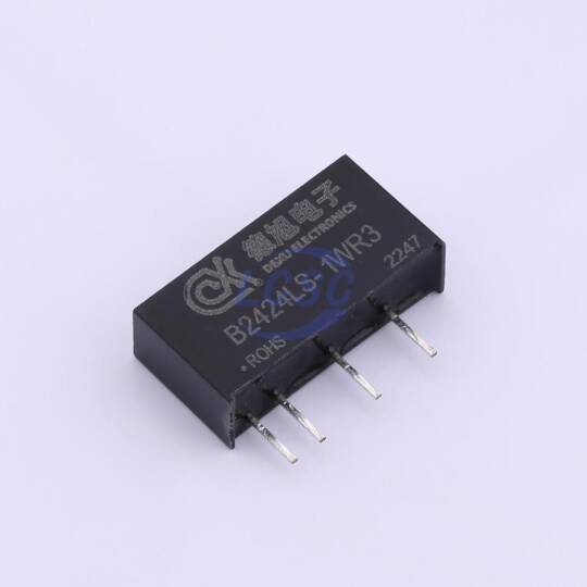 DEXU Electronics B2424LS-1WR3 - 3