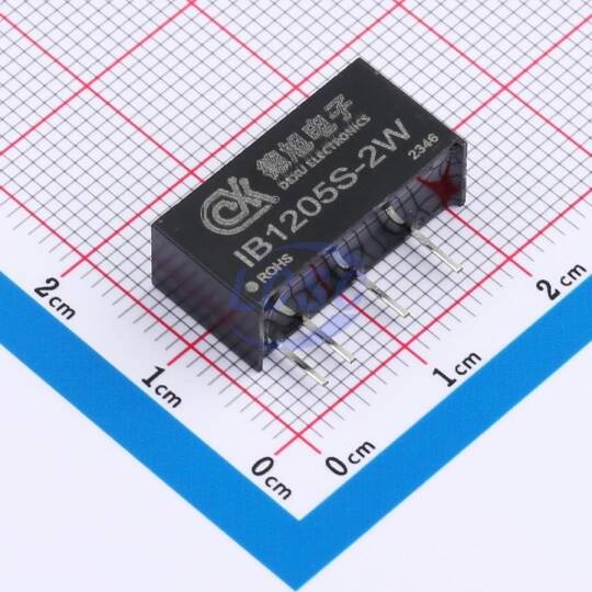DEXU Electronics IB1205S-2W