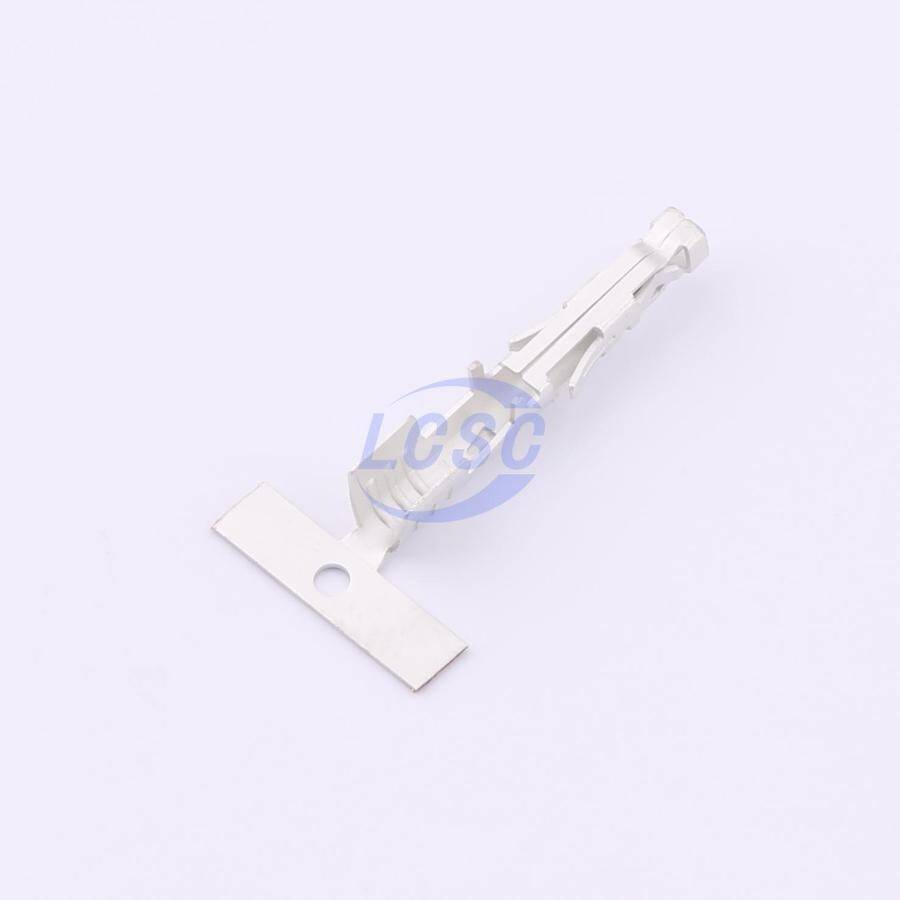 DLL 5556C-T - 3