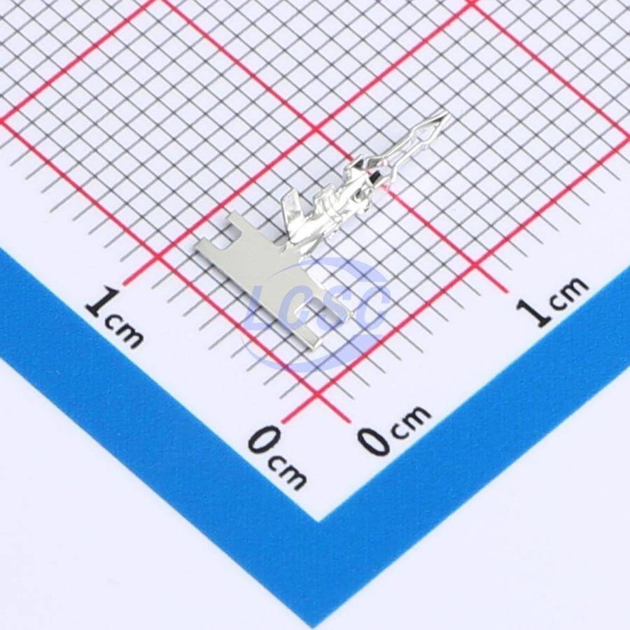 DLL SCN-T - 1