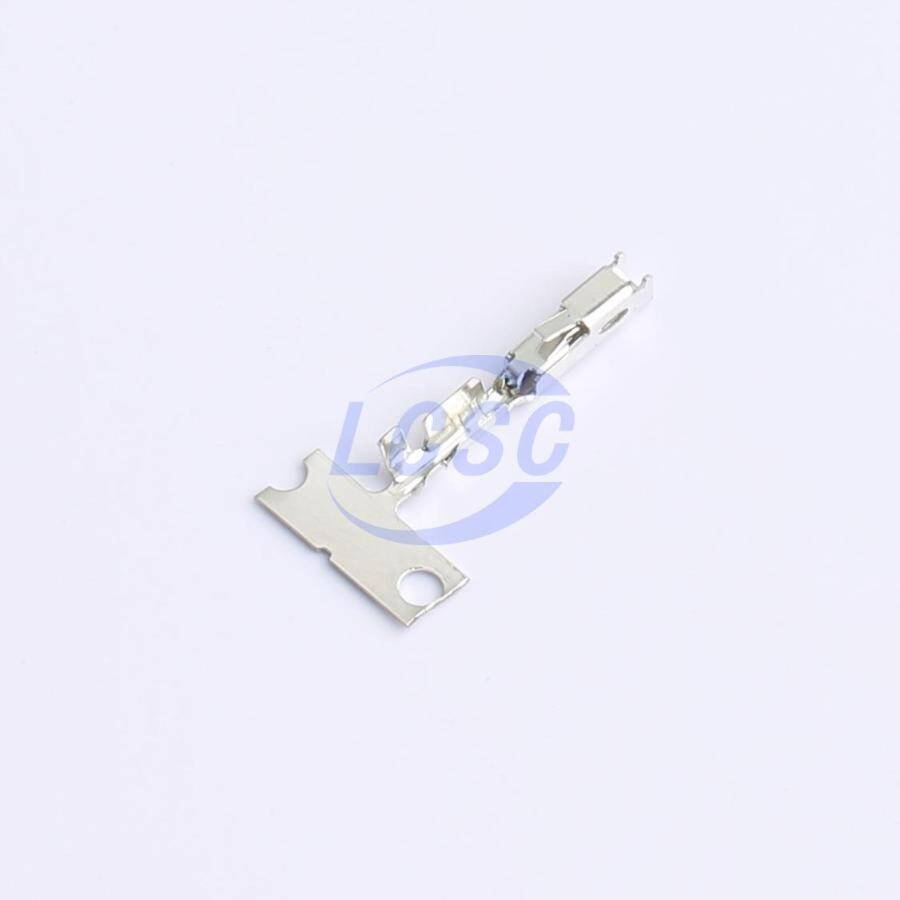 DLL XG-T - 3