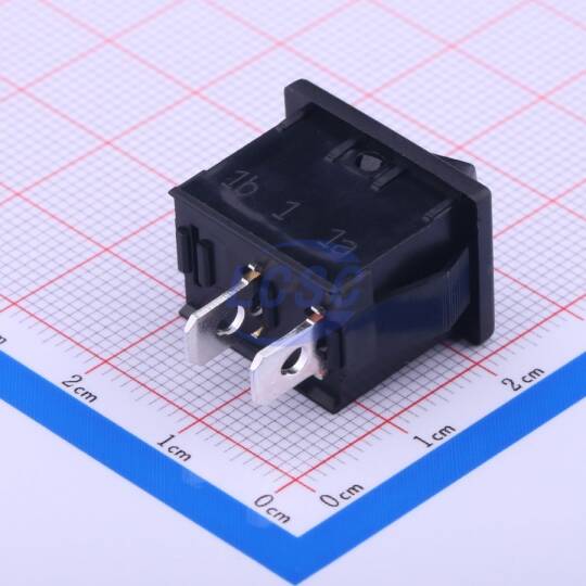 E-Switch R1966ABLKBLKEF - 2