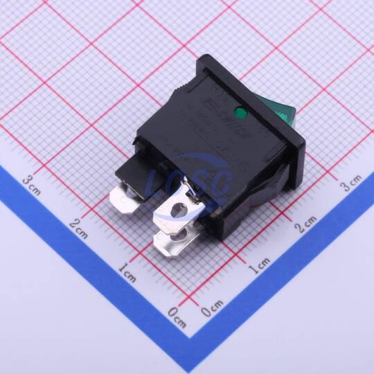 E-Switch R1973ABLKGILFF4 - 1