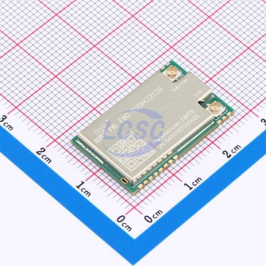 EBYTE E80-900M2213S