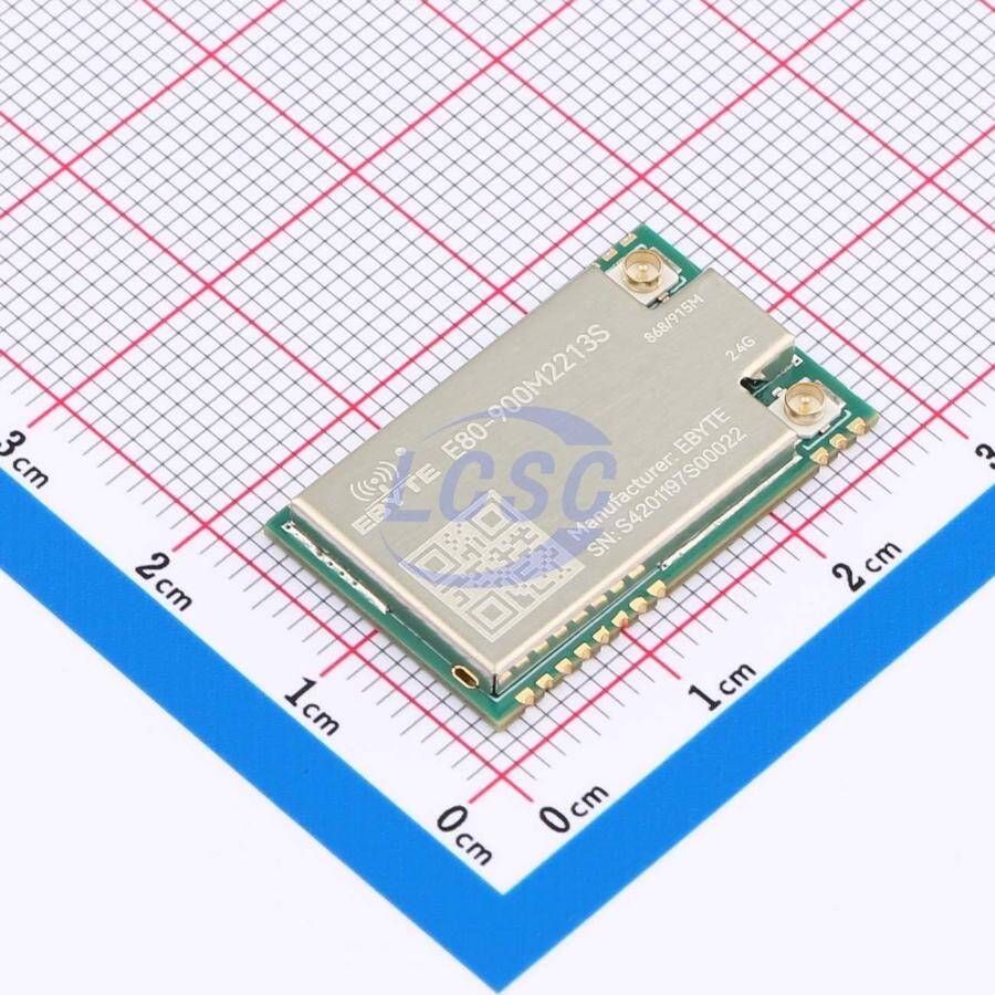 EBYTE E80-900M2213S - 1