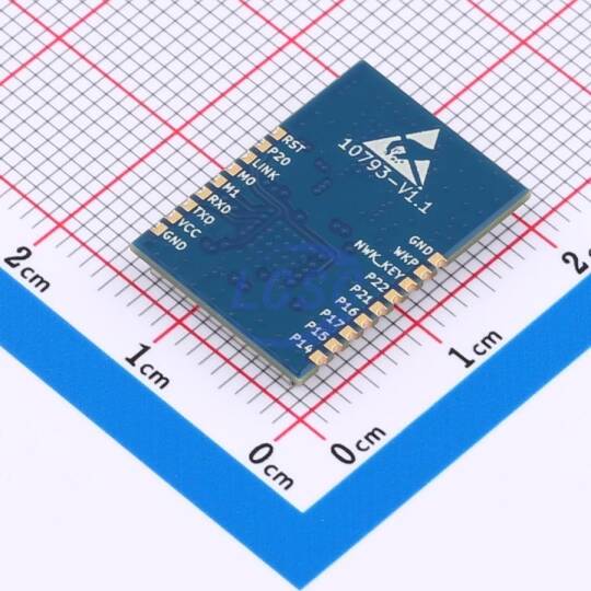 EBYTE EWM181-Z04SX - 2