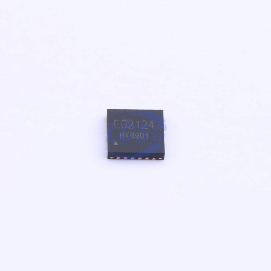 EG Micro EG2124 - 3