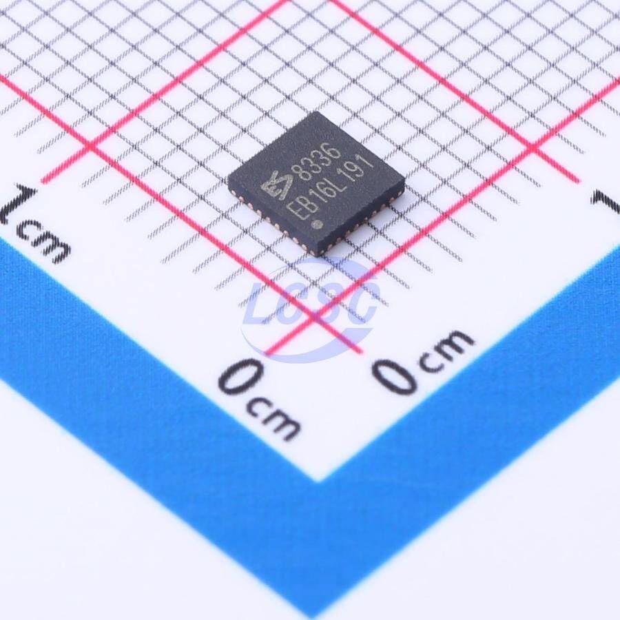 Everest-semi(Everest Semiconductor) ES8336 - 1