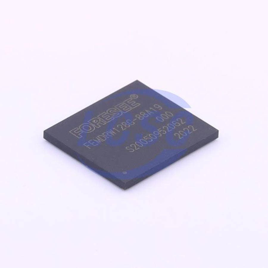 FORESEE FEMDRW128G-88A19 - 3