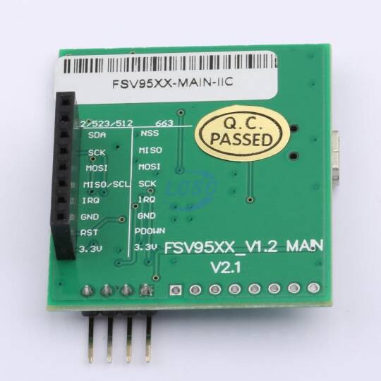 Forsinve FSV95XX-MAIN-IIC - 2