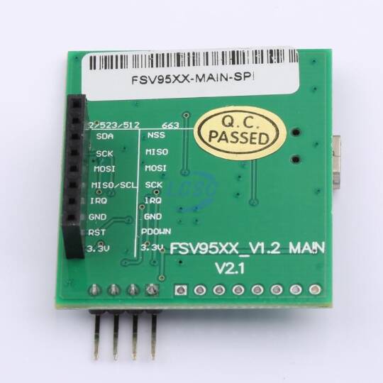 Forsinve FSV95XX-MAIN-SPI - 2