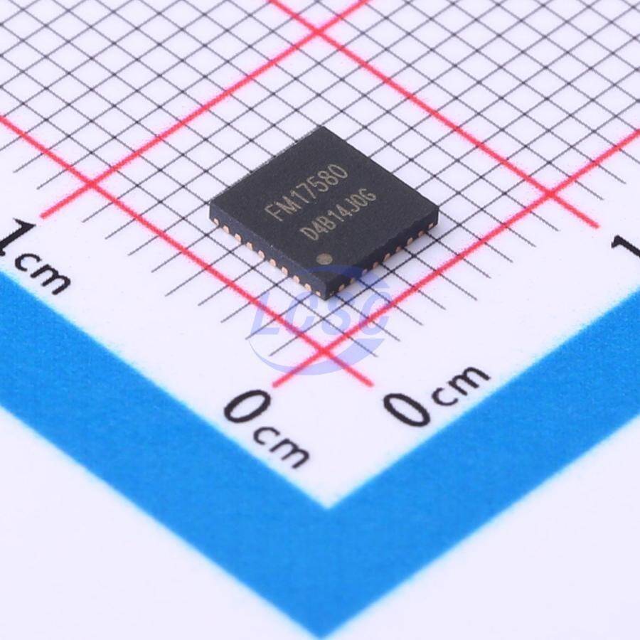 FUDAN MICRO FM17580-QNA-T-G - 1