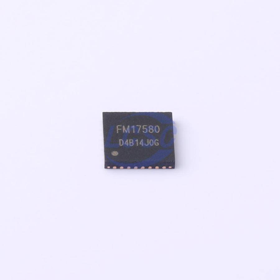 FUDAN MICRO FM17580-QNA-T-G - 3