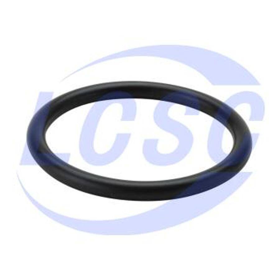 FZ FKM70 AN6227-8(AS568-113) - 1