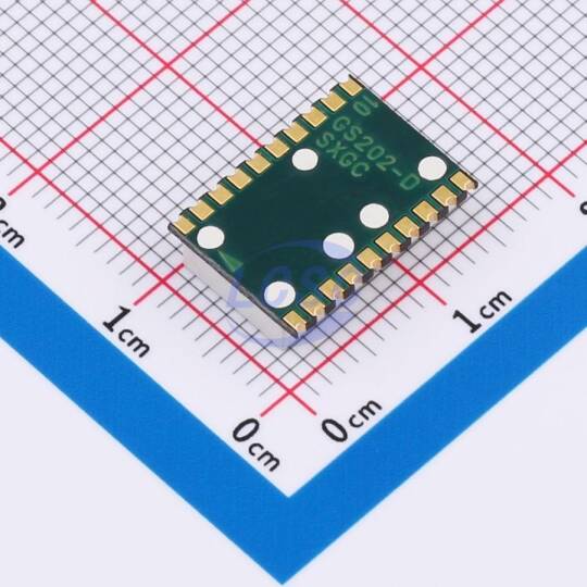 Guangcai Display GS2020AG-G - 2