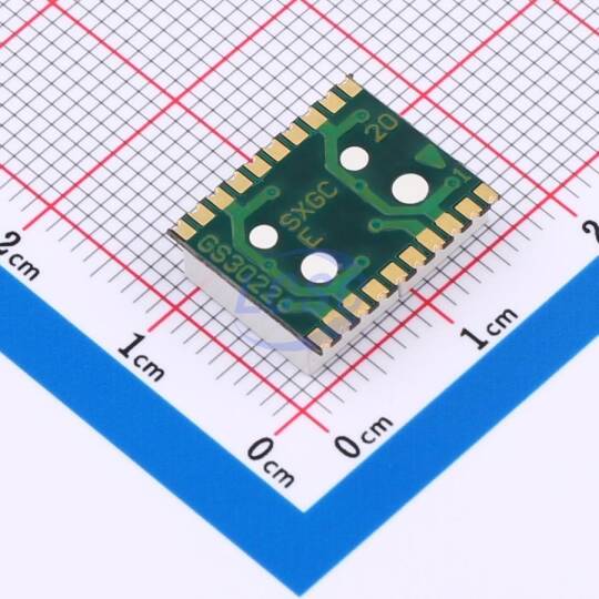 Guangcai Display GS3021CB-G - 2