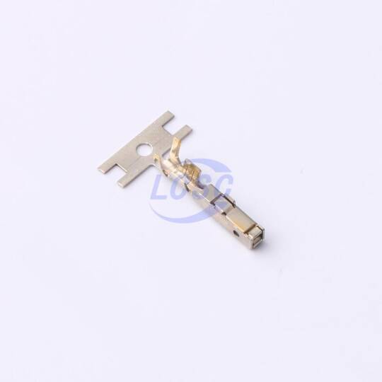 JST SJ2F-21GF-P1.0 - 3