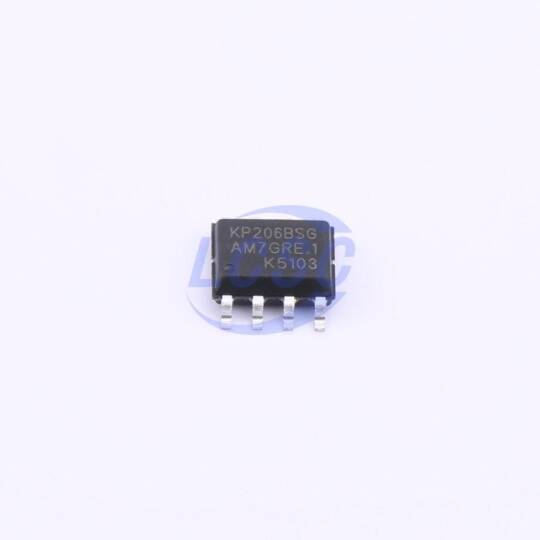 Kiwi Instruments KP206BSGA - 3