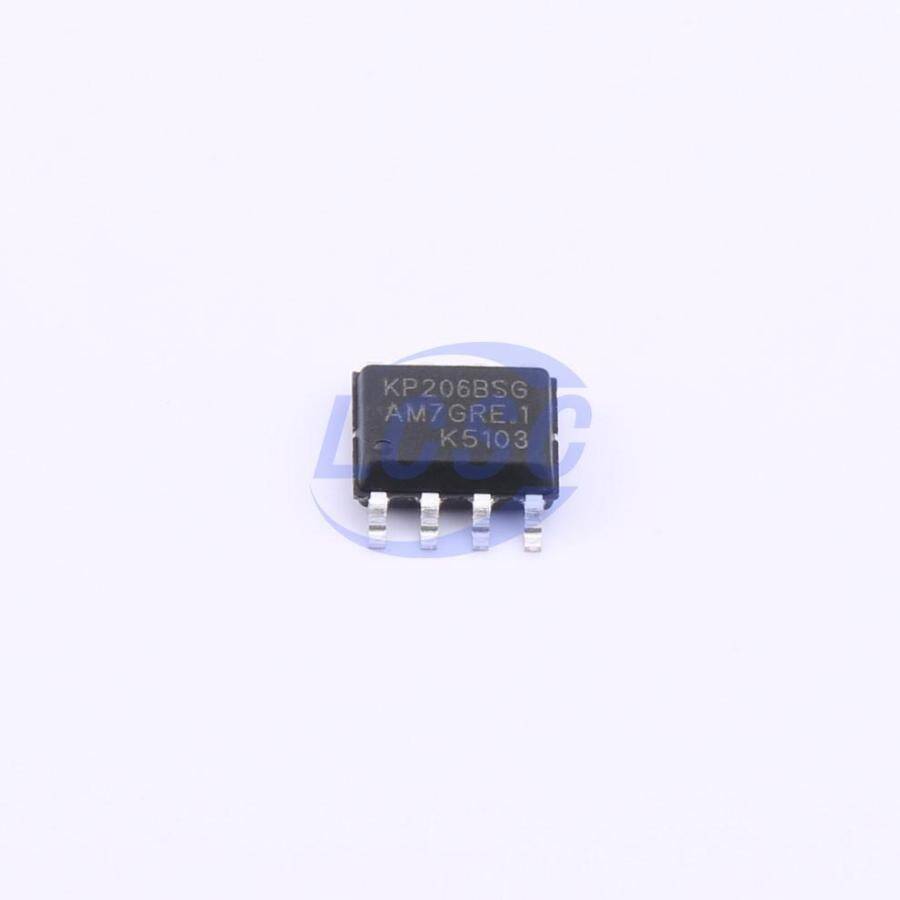Kiwi Instruments KP206BSGA - 3