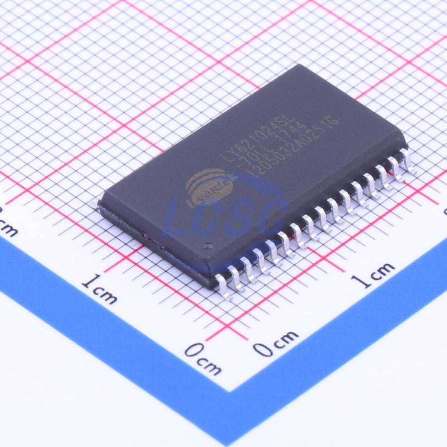 Lyontek Inc. LY621024SL-70LLI - 1