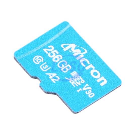 micron MTSD256AKC7MS-1WTCS - 2