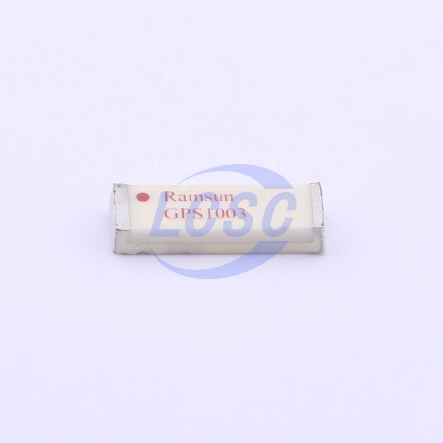 Rainsun GPS1003 - 3