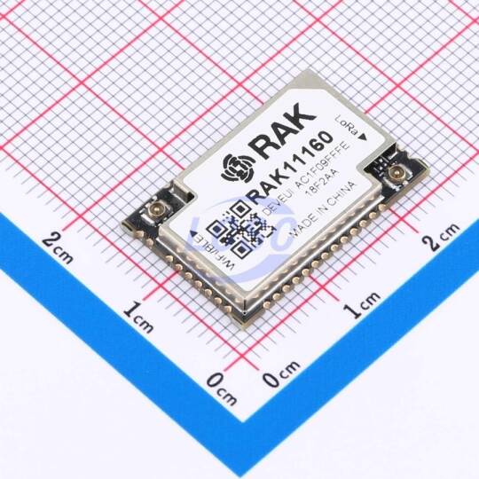 RAKwireless RAK11160-9-SM-I - 1
