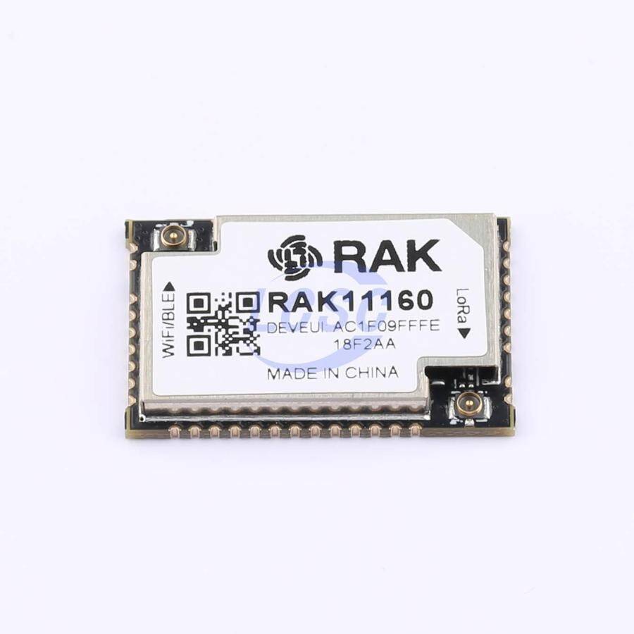 RAKwireless RAK11160-9-SM-I - 3
