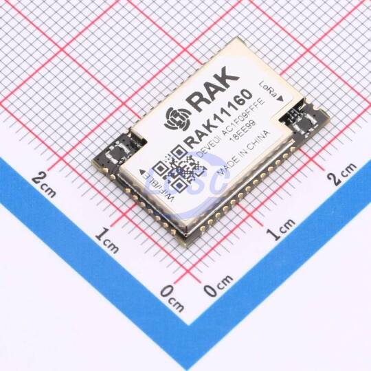 RAKwireless RAK11160-9-SM-NI