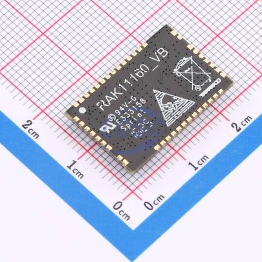 RAKwireless RAK11160-9-SM-NI - 2