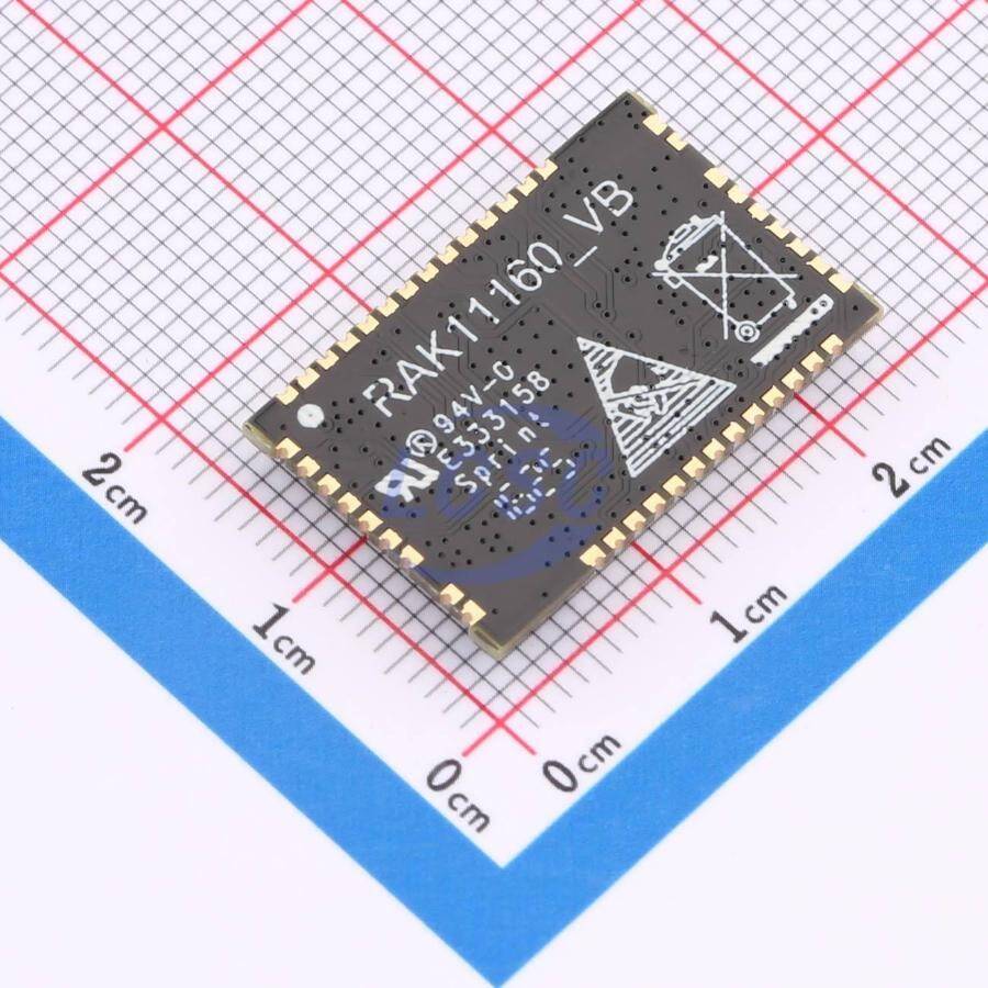 RAKwireless RAK11160-9-SM-NI - 2