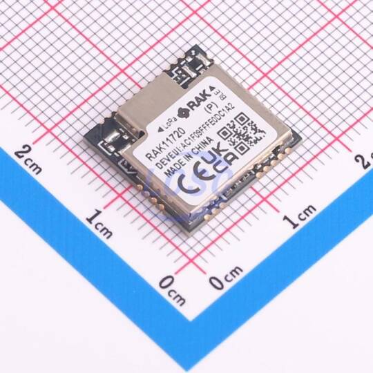RAKwireless RAK11720-8-SM-NI