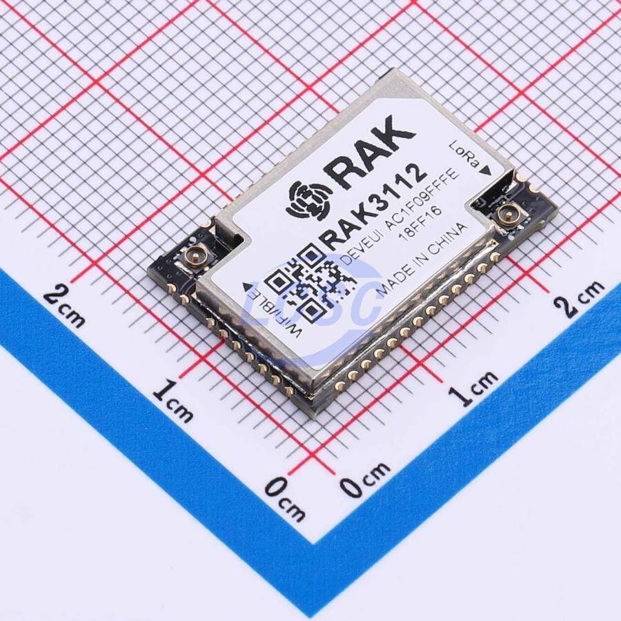 RAKwireless RAK3112-9-SM-I - 1