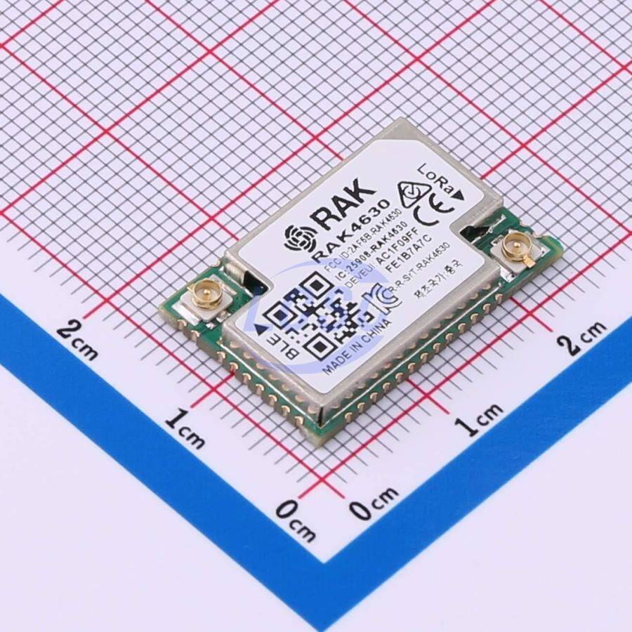 RAKwireless RAk4630-8-SM-I