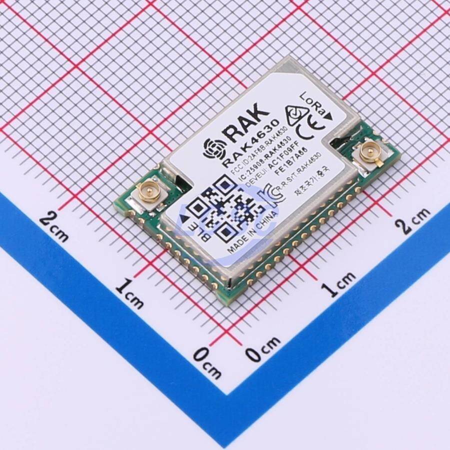 RAKwireless RAK4630-9-SM-I