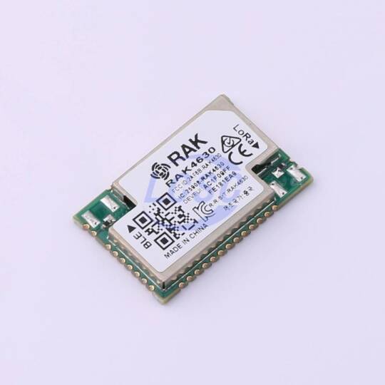 RAKwireless RAK4630-9-SM-NI - 3