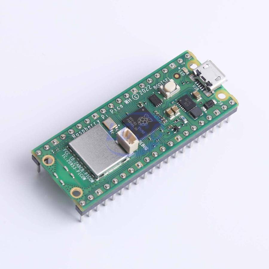 Raspberry Pi SC0919 - 1